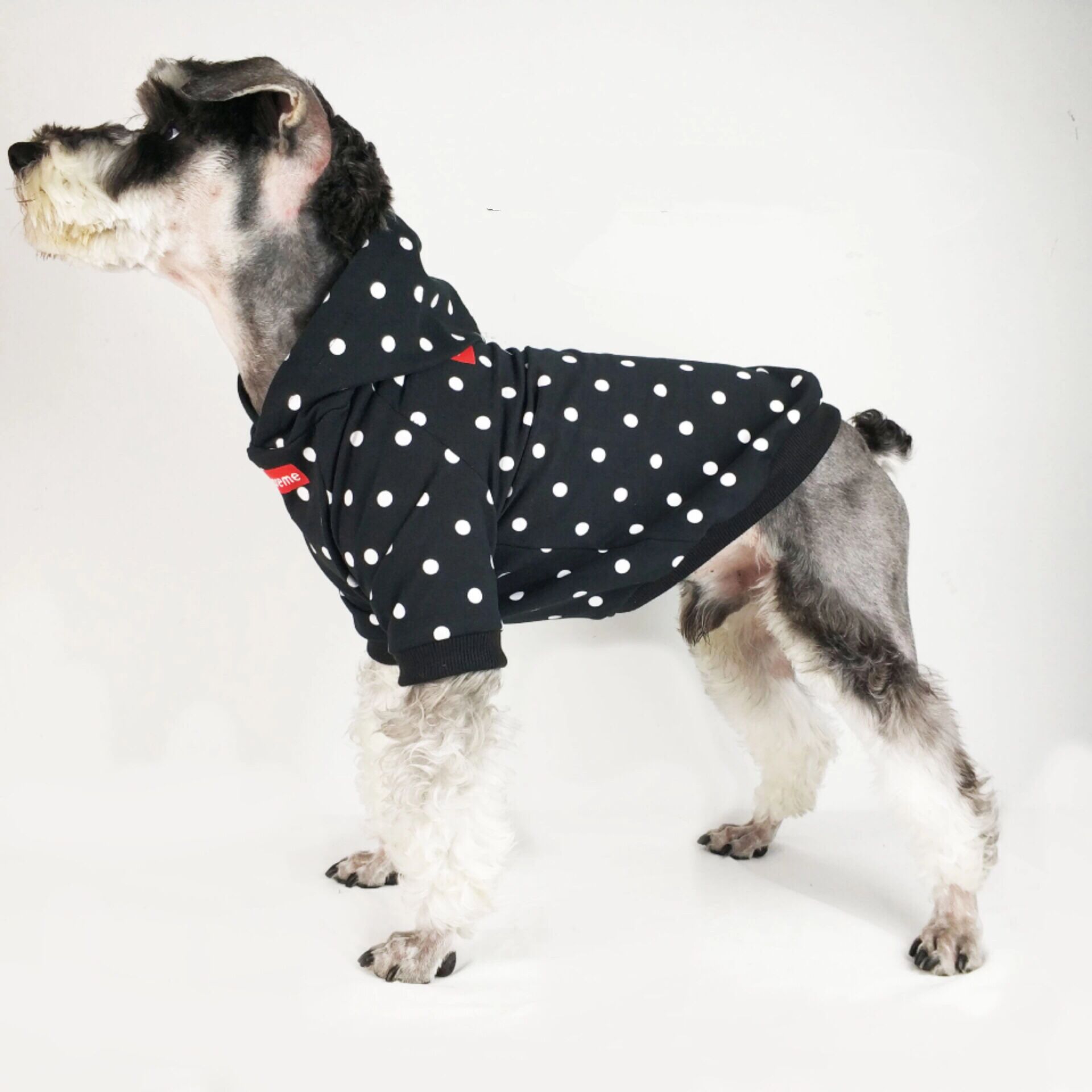 supreme 犬服