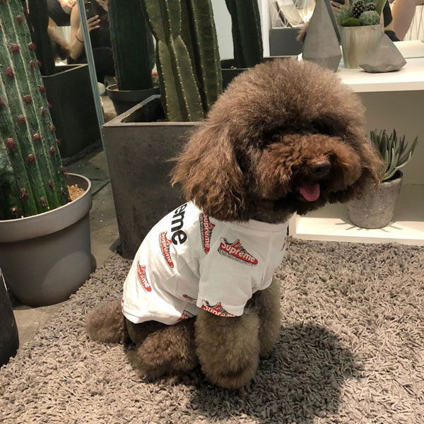 Supreme 犬服 犬用Tシャツ ドッグウェア シュプリーム ペット服 猫服 半袖 可愛い