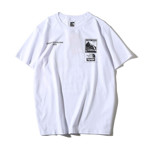 シュプリーム ノースフェイス Tシャツ 19SS Supreme×THE NORTH FAC メタリックロゴTシャツ