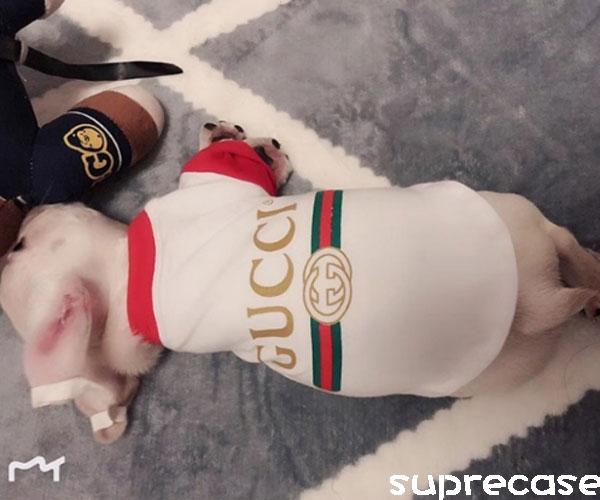 グッチ 犬服 ドッグウェア 犬用Tシャツ ブラント ペット服 GUCCIロゴt