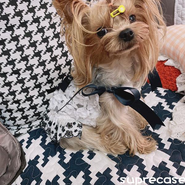 シャネル 犬の服 ワンピース レース スカート 超可愛い ブラント CHANEL ドッグウェア リボン